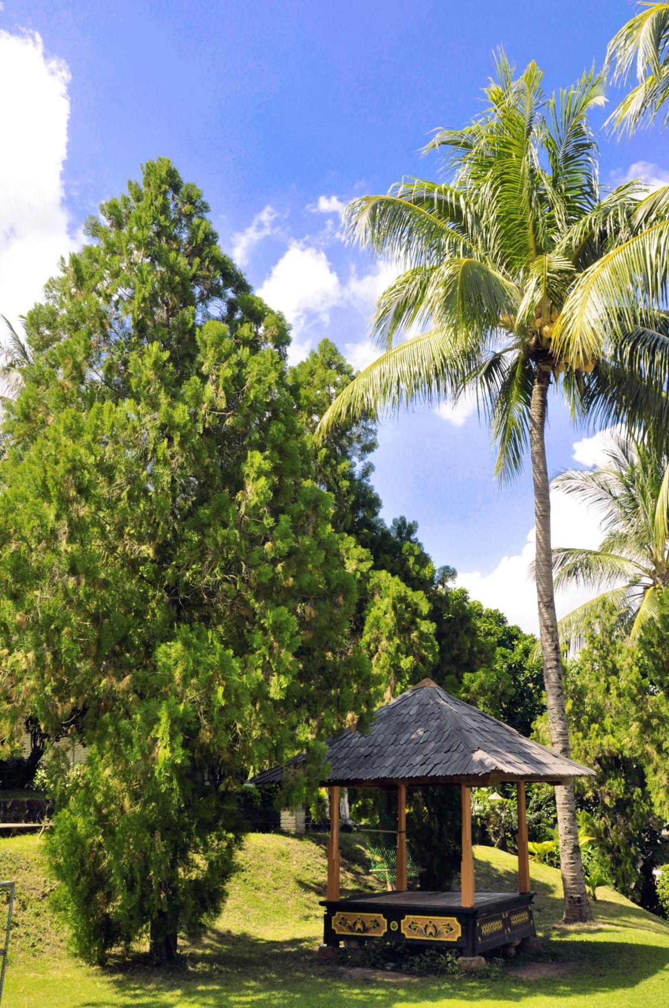 Puri Bunga Beach Cottages Senggigi Exterior photo
